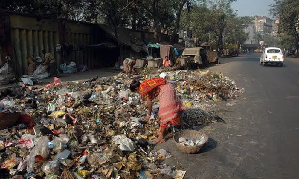 Waste Collection