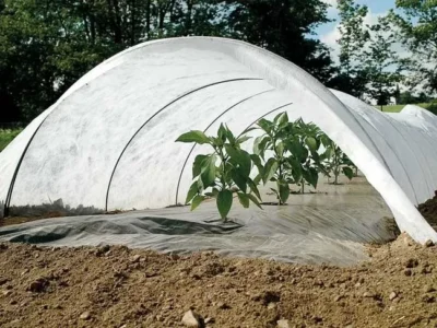 crop-cover